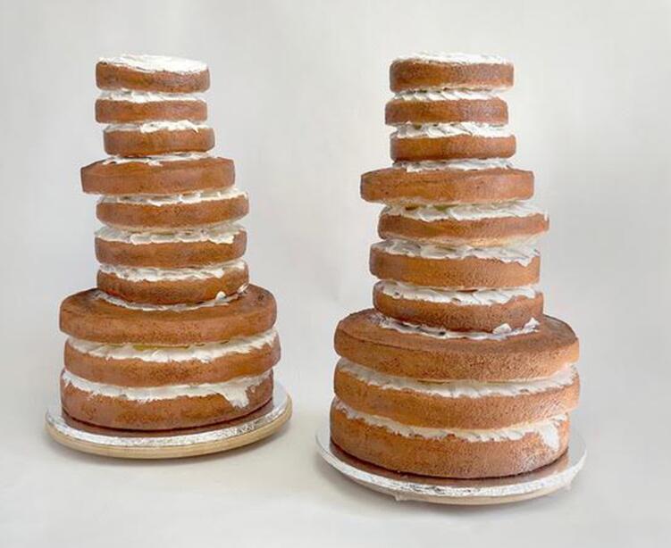 Dinosaur S1 - Upholstery foam wedding cakes