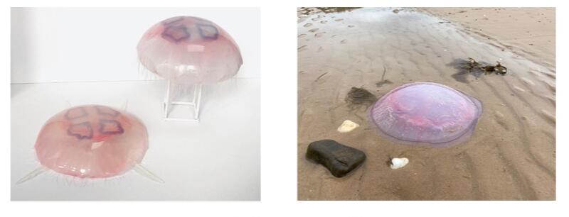 The Outrun - silicone jelly fish